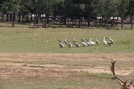 resIMG_20131013_151858_0630.JPG